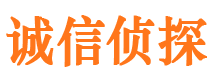 修文市私家侦探